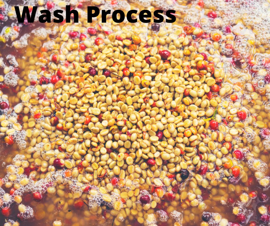 The-Ply-Coffee-Roaster-เดอะพลายคอฟฟี่-Wash-process