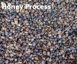 The-Ply-Coffee-Roaster-เดอะพลายคอฟฟี่-honey-process