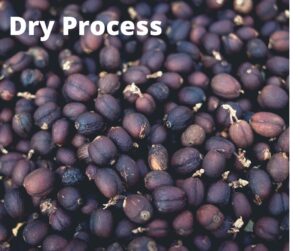 The-Ply-Coffee-Roaster-โรงคั่วกาแฟเดอะพลาย-Dry-process