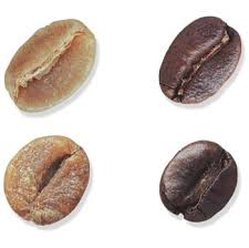 The-Ply-Coffee-Roaster-โรงคั่วกาแฟเดอะพลาย-arabica-vs-robusta3